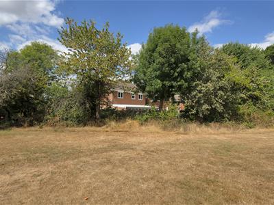 Picture 23
